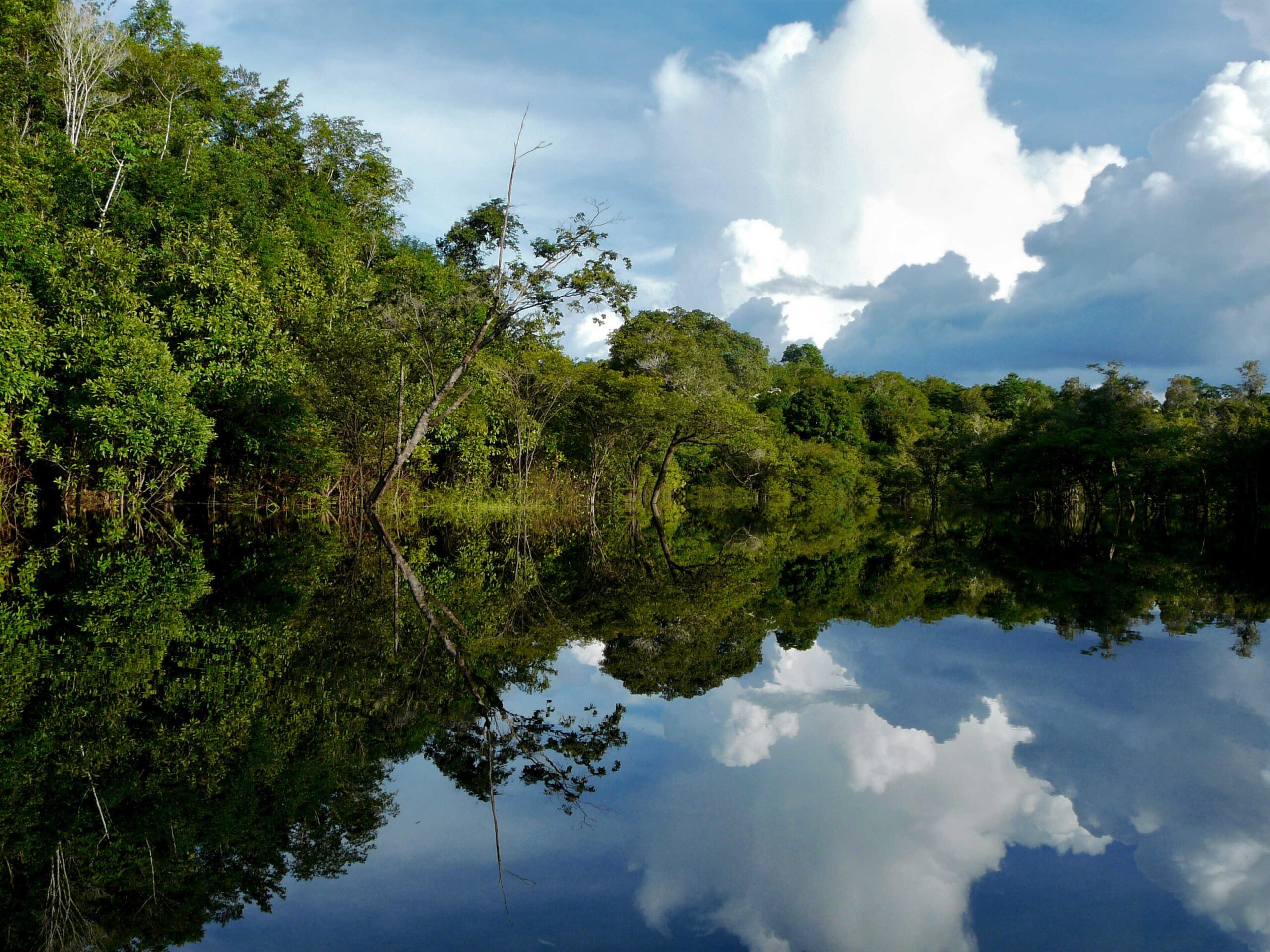 biodiversidad