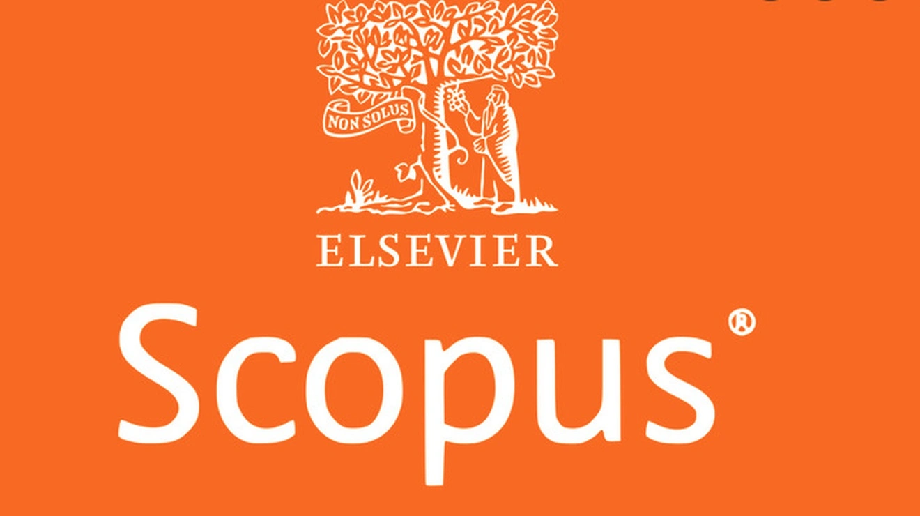 Scopus: la herramienta clave para la investigación académica ...