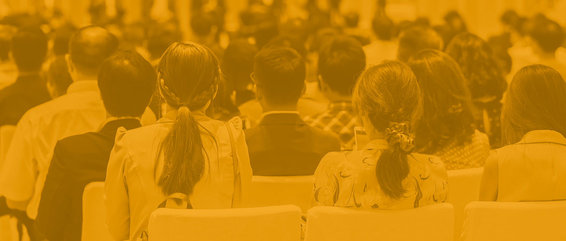 UNADE Scholarship background