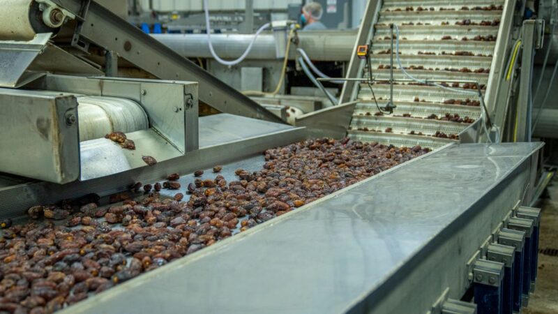 MÁSTER MBA EN EMPRESAS AGROALIMENTARIAS