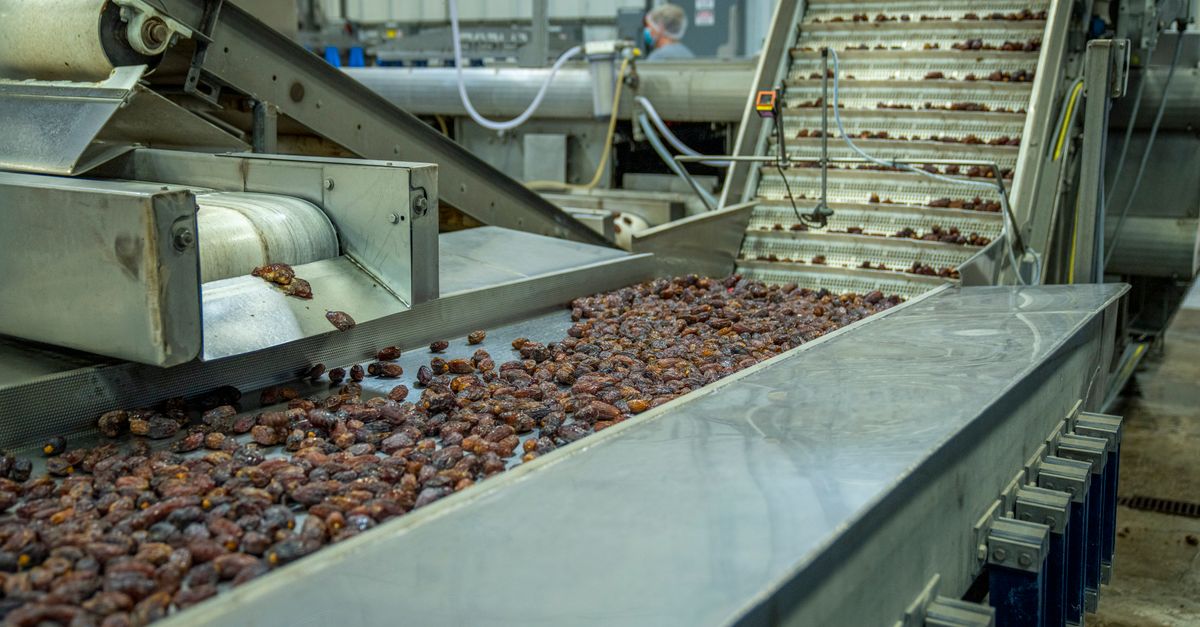MÁSTER MBA EN EMPRESAS AGROALIMENTARIAS
